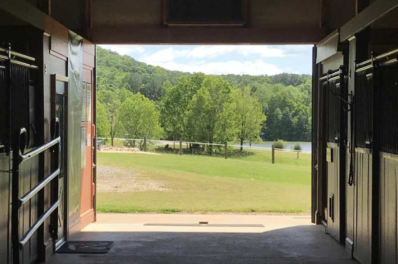 Mountain Horse Farm